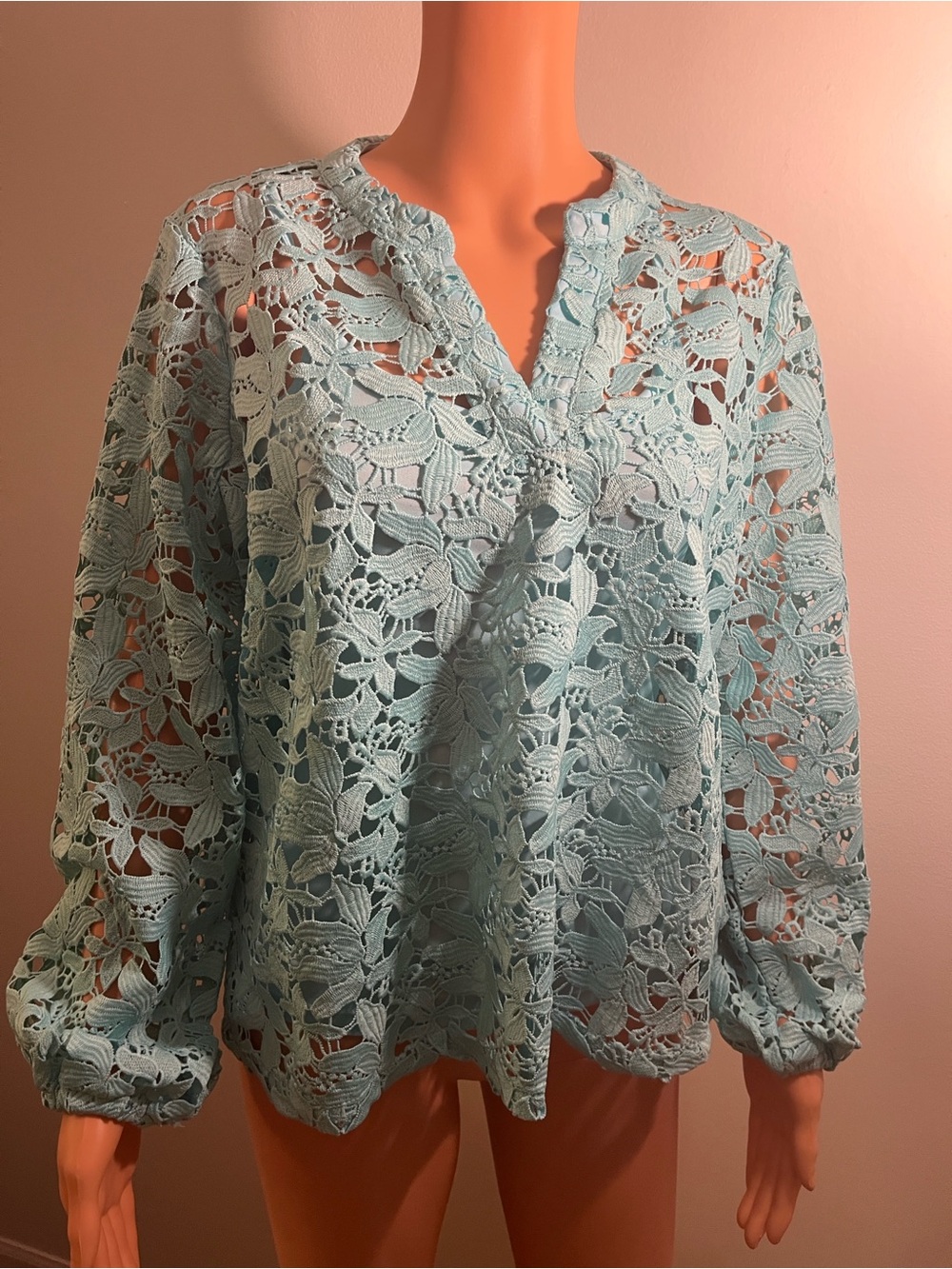 Like New C. Wonder Light Blue Floral Lace V-Neck Blouse with Soft Cami Tank Top